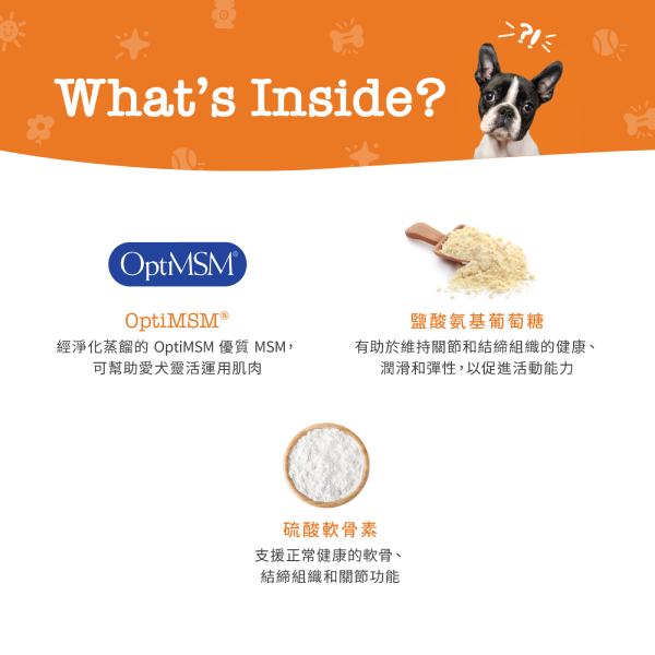 Zesty Paws Mobility Bites 關節護理咀嚼軟粒 - 煙肉味(犬用) 90粒 (🥳大量購買優惠🎉2件85折)