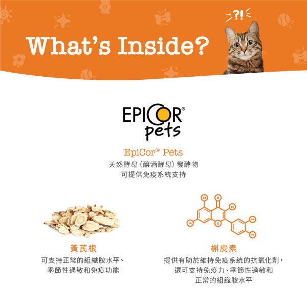 Zesty Paws Allergy&Immune Bites 抗敏免疫咀嚼軟粒 - 煙肉味(貓用) 60粒 (🥳大量購買優惠🎉2件85折)