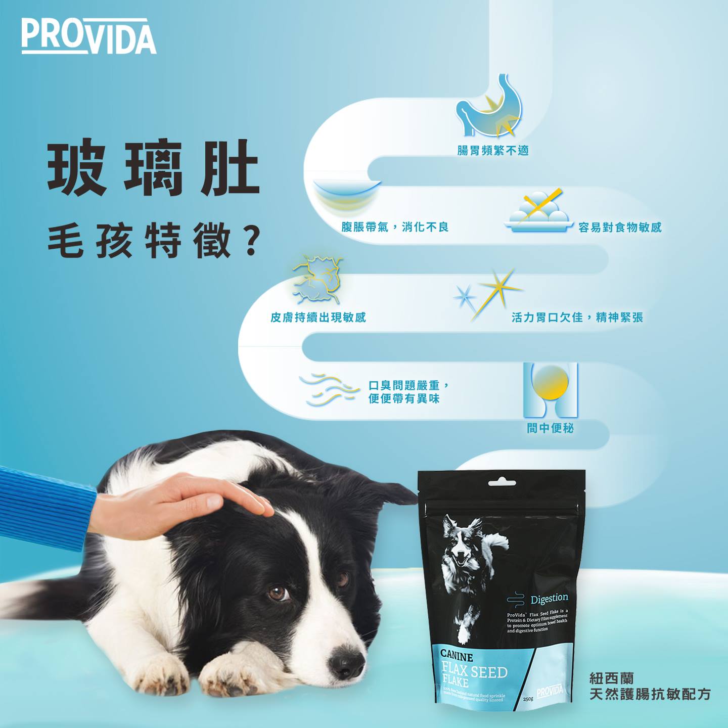 PROVIDA® 寵物玻璃肚救星