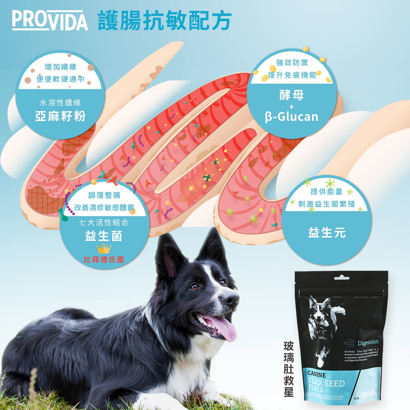 PROVIDA® 寵物玻璃肚救星