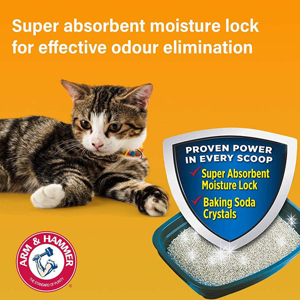 美國 Arm & Hammer Cat Litter Deodorizer Powder 貓砂除臭粉 850g