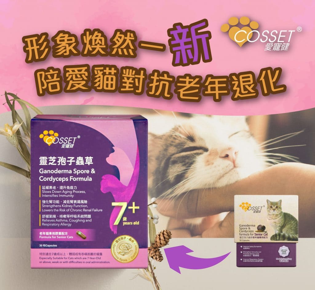 Cosset 愛寵健 《貓系列》 靈芝孢子蟲草 (老年貓專用配方) 30粒 (🥳大量購買優惠🎉)