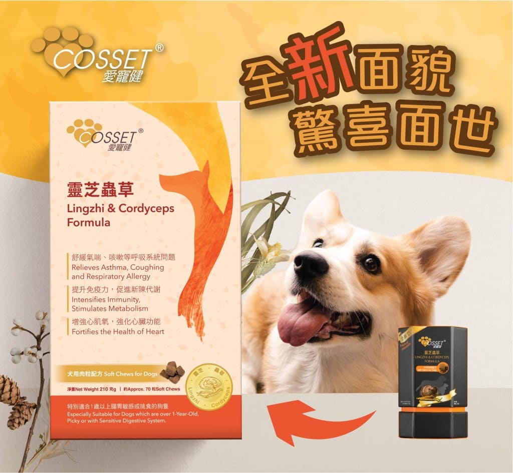 Cosset 愛寵健 《犬系列》 靈芝蟲草 (肉粒配方) 160粒 (🥳大量購買優惠🎉)