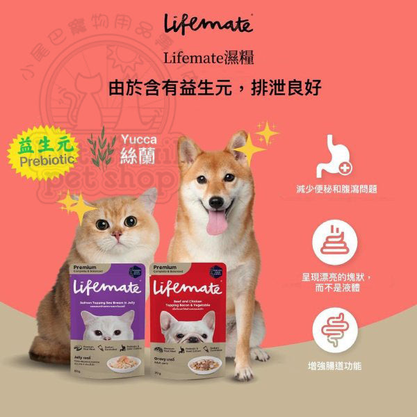 Lifemate 貓濕糧 雞肉片+鯖魚配果凍 (成貓配方) 70g