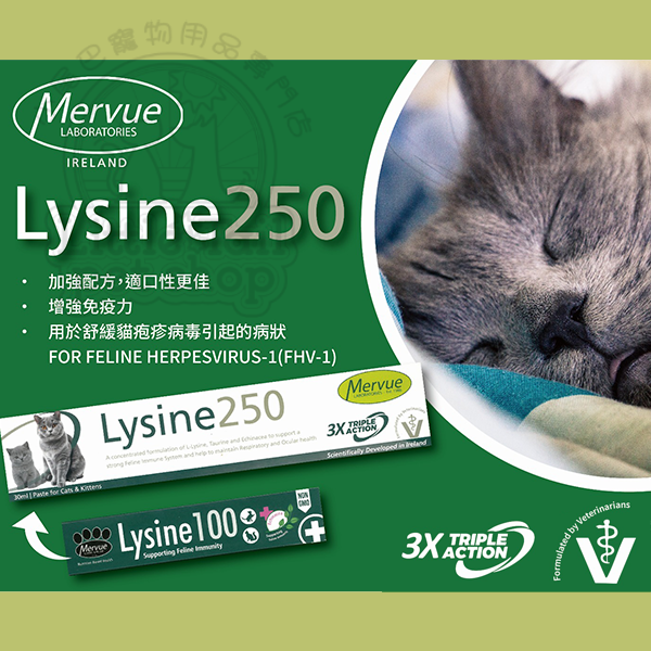Mervue 愛爾蘭馬飛立制藥 Lysine 250 30ml 補充劑 (貓感冒終結者)(新包裝 升級版) 