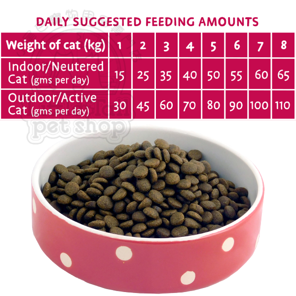 Meowing Heads 貓糧 全天然【老年之選】(年⾧貓配方) 三文魚+雞肉 (紫紅色) 1.5kg / 3kg

