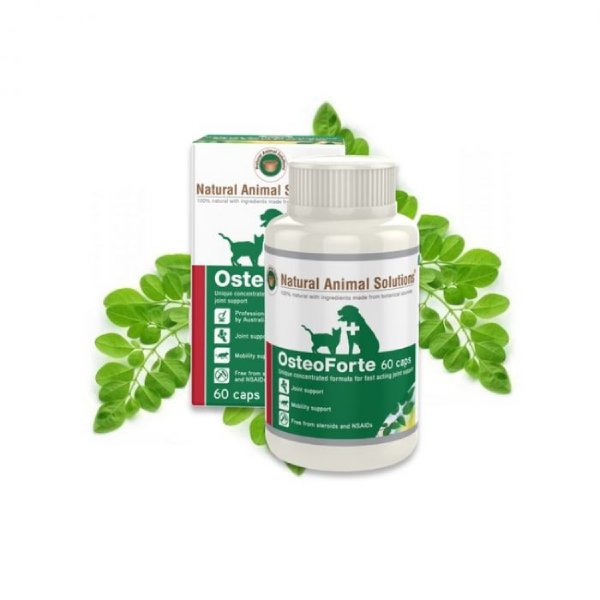 Natural Animal Solutions (NAS) OSTEOFORTE 特強鎮痛消炎關節粉 60粒