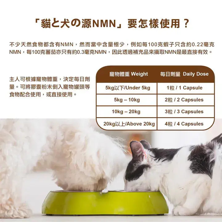 Petto Origin 貓和犬之源 NMN 活命長壽補充劑 30粒