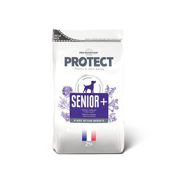 PROTECT 草本食療 全犬糧 SENIOR+ 【老齡護理】 2kg