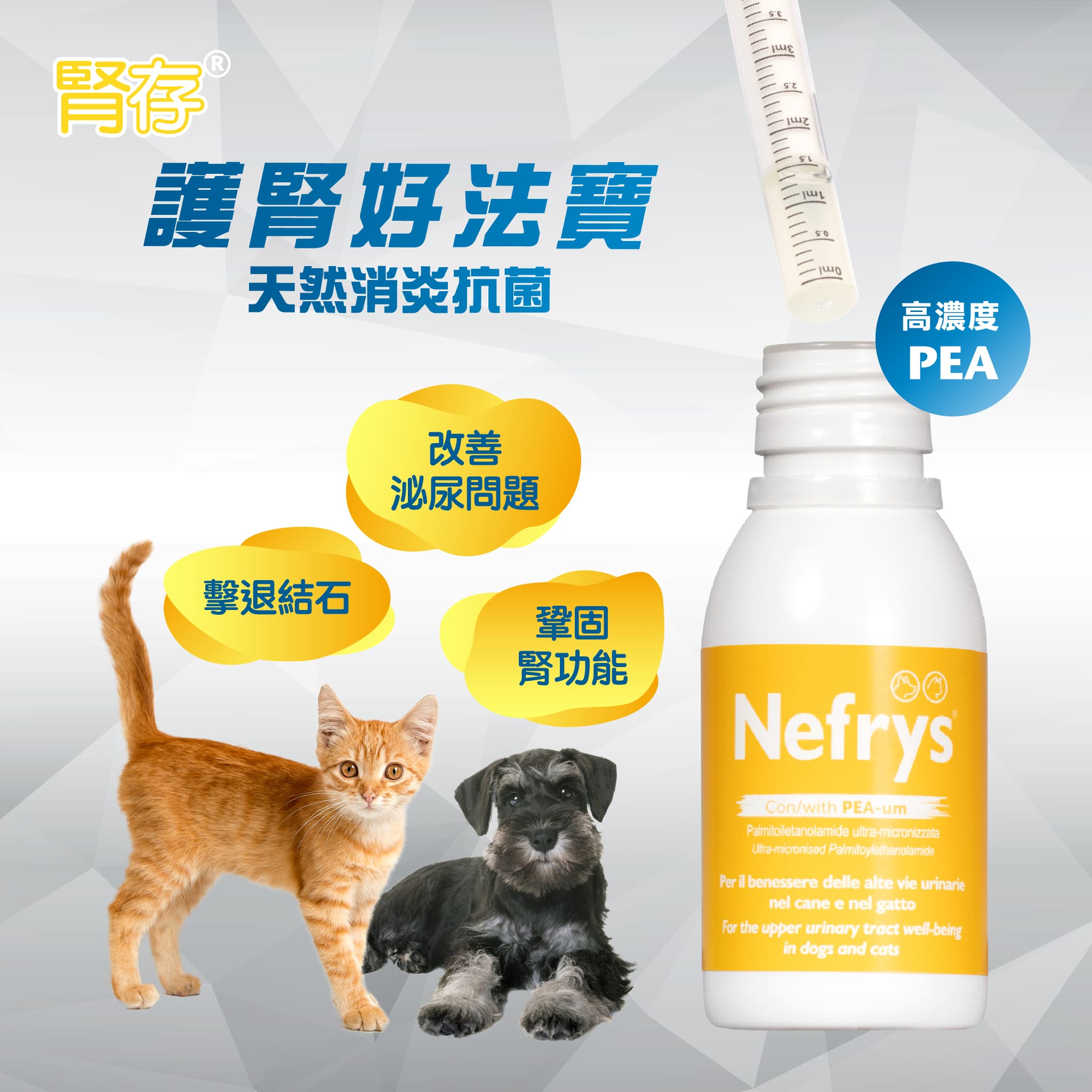 Innovet 意諾膚® 腎存 Urys – Nefrys 寵物泌尿強腎配方 100ml (🥳大量購買優惠🎉)