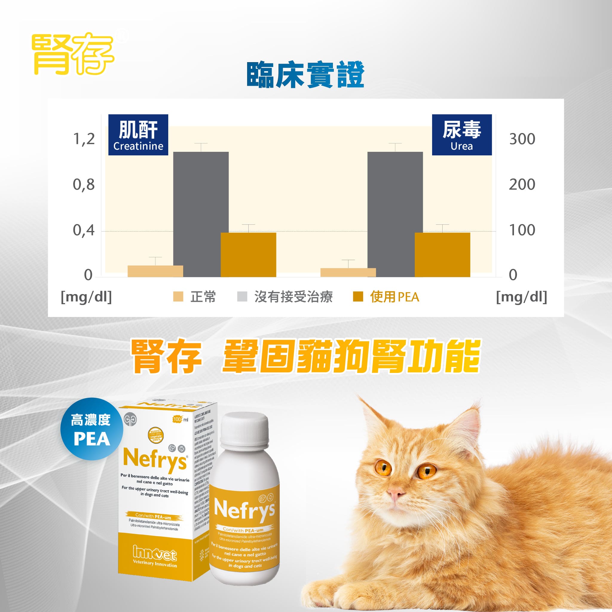 Innovet 意諾膚® 腎存 Urys – Nefrys 寵物泌尿強腎配方 100ml (🥳大量購買優惠🎉)