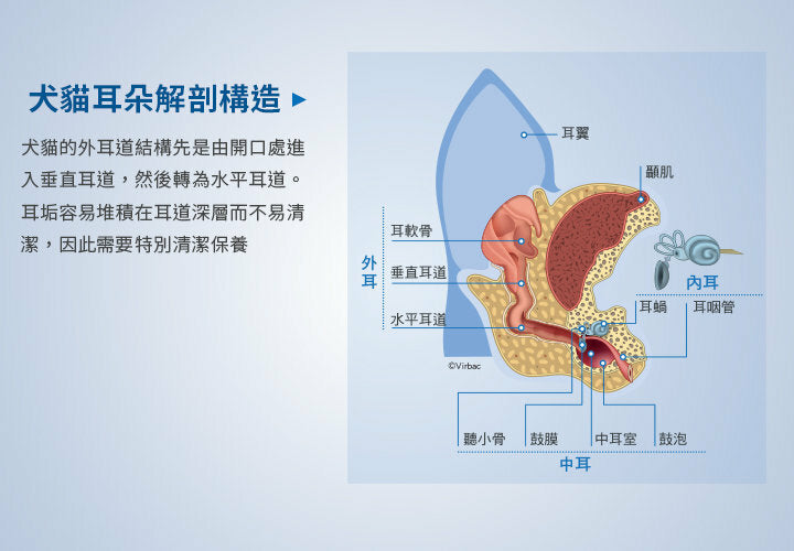 Virbac 法國維克 Epiotic 洗耳水 125ml