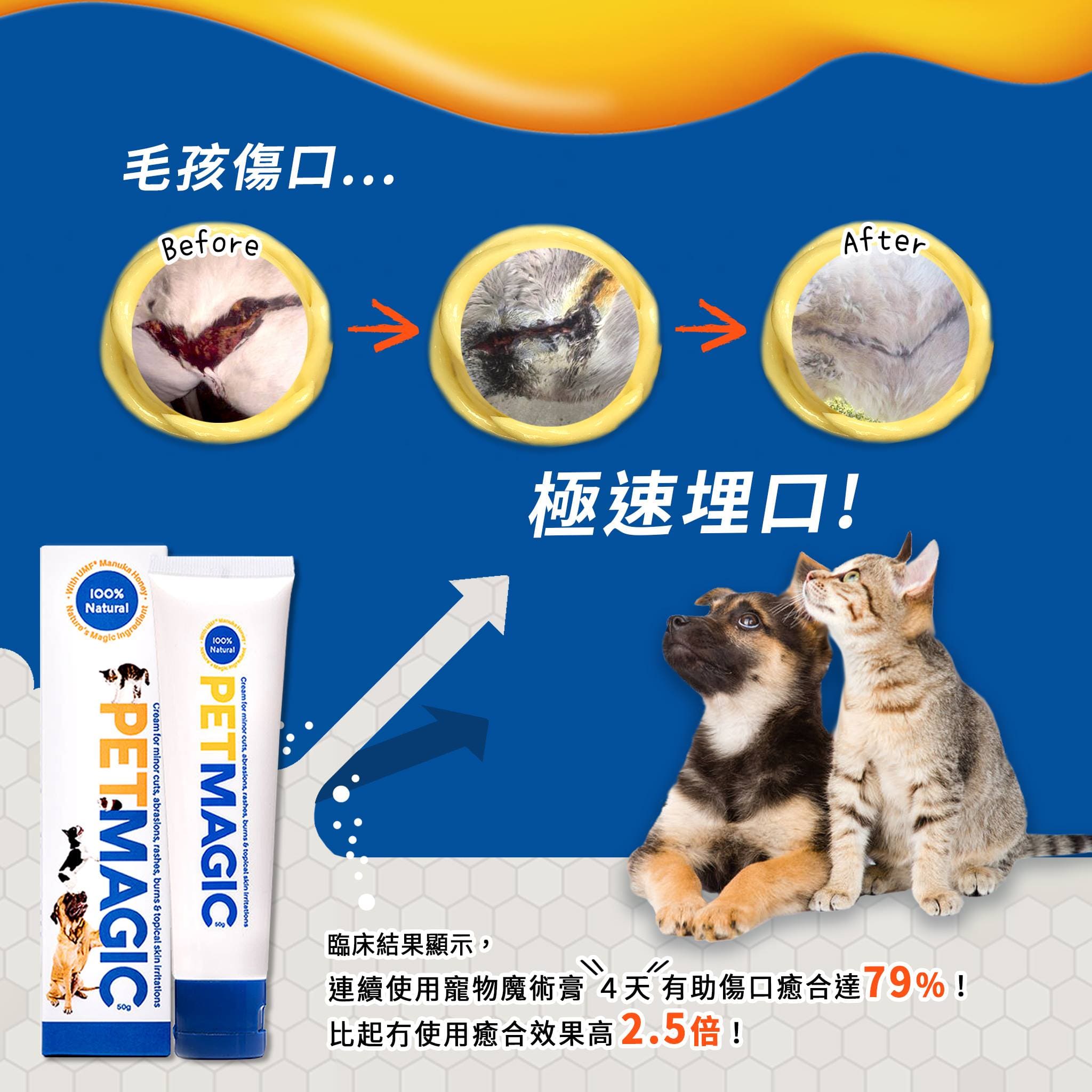 Pet Magic 寵物魔術膏 50g